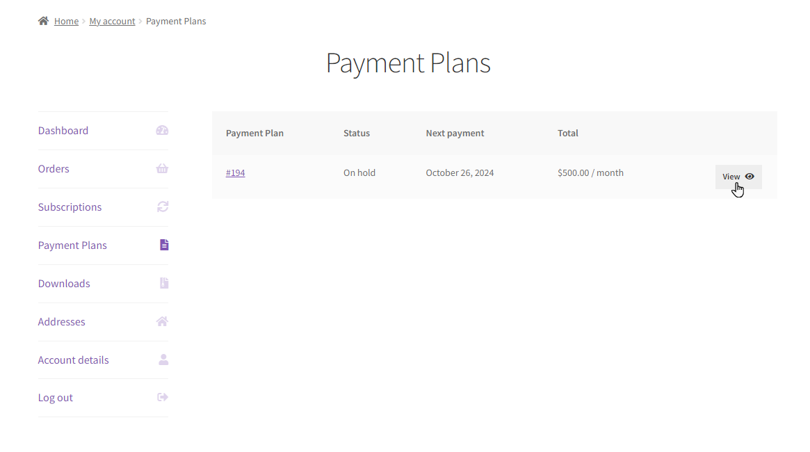 view payment plan