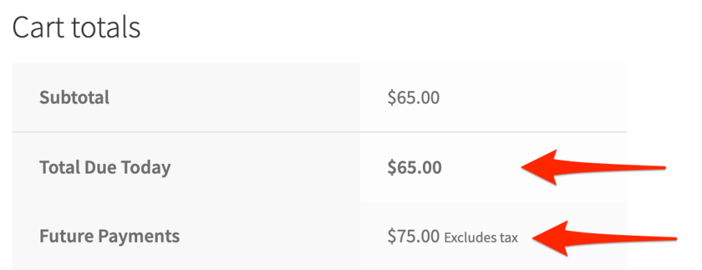 Customers Experience WooCommerce Pay Later